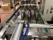 6000 Koni / H Tart Kabuk Üretim Hattı Oblaten Gofret Makinesi