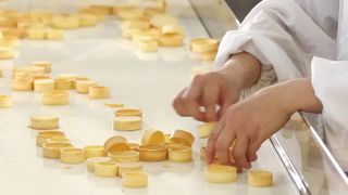 Otomatik Turta Kabuğu Üretim Hattı